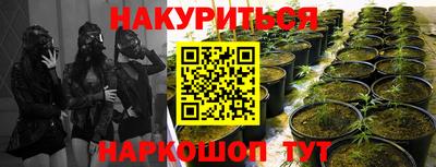 молекула духа Гатчина