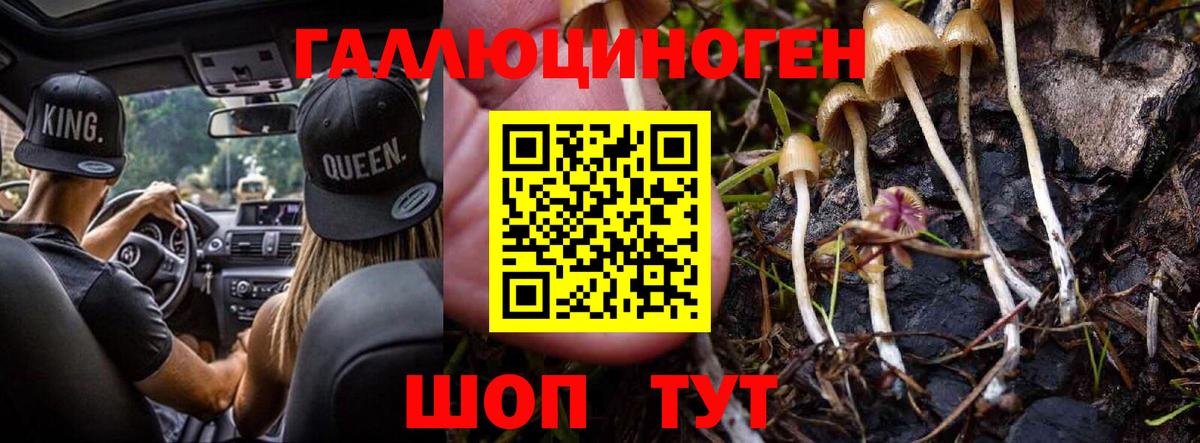 Псилоцибиновые грибы ЛСД  Вход с VPN  Нефтекумск 